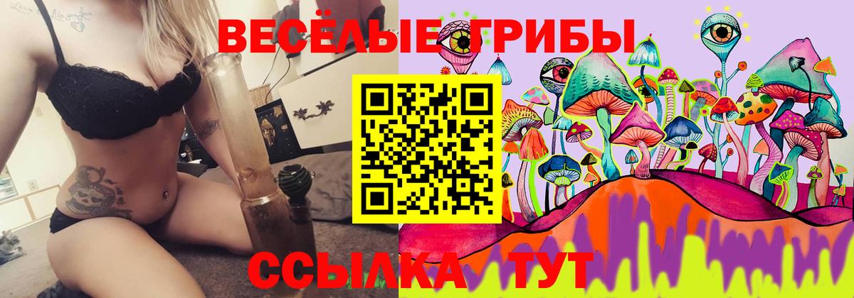 Галлюциногенные грибы Cubensis  Вход с VPN  Псилоцибиновые грибы мухоморы  Керчь 