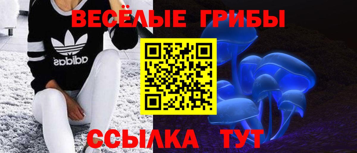 Псилоцибиновые грибы GOLDEN TEACHER Керчь